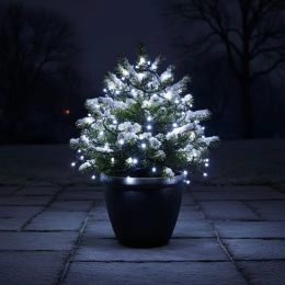 Aurora Solar Lichterkette mit 50 LEDs in Kaltweiß - Aurora - Solarlichterketten für jede Jahreszeit