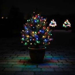 Aurora Solar Lichterkette mit 50 bunten LED-Leuchten - Aurora - Solarlichterketten für jede Jahreszeit